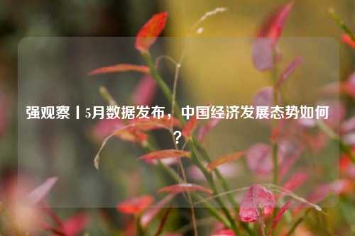 强观察丨5月数据发布，中国经济发展态势如何？ 宏观经济 经济 行业新闻 第1张