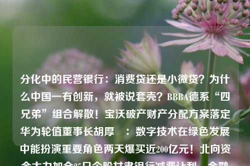 分化中的民营银行：消费贷还是小微贷？为什么中国一有创新，就被说套壳？BBBA德系“四兄弟”组合解散！宝沃破产财产分配方案落定华为轮值董事长胡厚崑：数字技术在绿色发展中能扮演重要角色两天爆买近200亿元！北向资金大力加仓25只个股甘肃银行减费让利、金融惠民 点亮“夜经济”巴基斯坦驻华大使哈克：中巴经济走廊为未来的发展奠定坚实基础次高端白酒竞争加剧 水井坊称选聘总经理仍在进行时华润集团董事长王祥明：高度关注新型储能产业链等三个方向“80后”老总猝然离世...这病越来越年轻化基金周报：一周五连涨，上次 银行 网商银行 民营银行 行业新闻 第1张