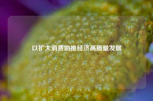 以扩大消费助推经济高质量发展 宏观经济 国内宏观 经济 行业新闻 第1张
