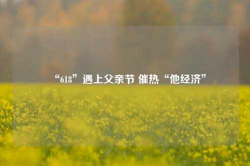 “618”遇上父亲节 催热“他经济” 电子商务 父亲节 行业新闻 第1张