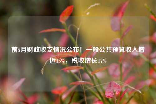 前5月财政收支情况公布！一般公共预算收入增近15%，税收增长17% 预算 预算收入 一般公共预算 行业新闻 第1张