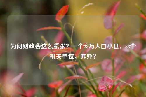 为何财政会这么紧张？一个28万人口小县，58个机关单位，咋办？ 时政 经济 行业新闻 第1张