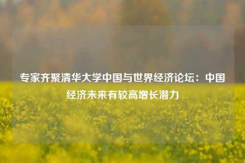 专家齐聚清华大学中国与世界经济论坛：中国经济未来有较高增长潜力 宏观经济 经济 行业新闻 第1张