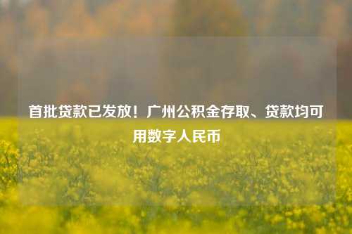 首批贷款已发放！广州公积金存取、贷款均可用数字人民币 数字人 住房公积金贷款 公积金 行业新闻 第1张