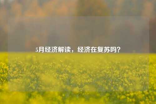 5月经济解读，经济在复苏吗？ 储蓄率 经济 行业新闻 第1张