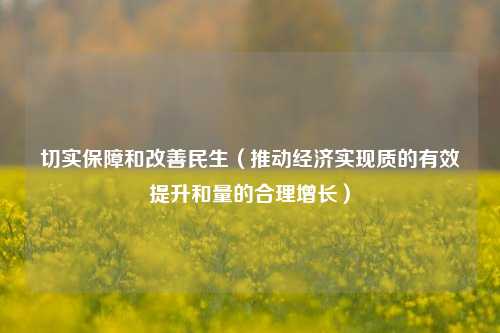 切实保障和改善民生（推动经济实现质的有效提升和量的合理增长） 时政 民生公司 社会保险 行业新闻 第1张