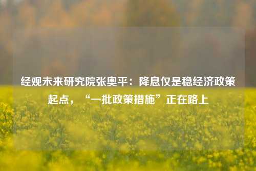 经观未来研究院张奥平：降息仅是稳经济政策起点，“一批政策措施”正在路上 国内宏观 央行降息 经济 行业新闻 第1张