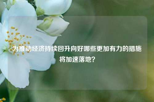 为推动经济持续回升向好哪些更加有力的措施将加速落地？ 国内宏观 稳增长 企业经济 行业新闻 第1张