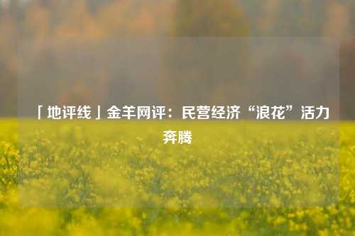 「地评线」金羊网评：民营经济“浪花”活力奔腾 经济 民营经济 民间投资 行业新闻 第1张