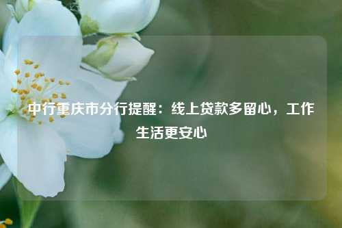 中行重庆市分行提醒：线上贷款多留心，工作生活更安心 金融 行业新闻 第1张