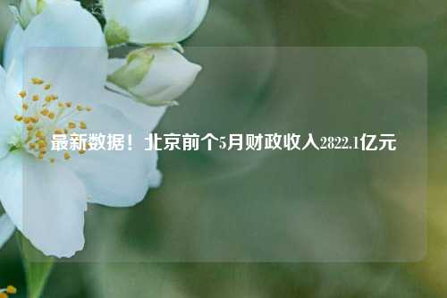 最新数据！北京前个5月财政收入2822.1亿元 财政学 宏观经济 预算 行业新闻 第1张