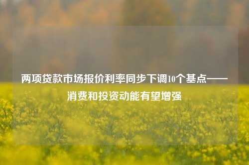 两项贷款市场报价利率同步下调10个基点——消费和投资动能有望增强 国内宏观 消费投资 利率 行业新闻 第1张