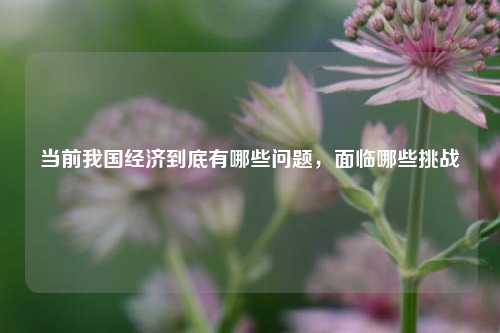 当前我国经济到底有哪些问题，面临哪些挑战 经济 行业新闻 第1张