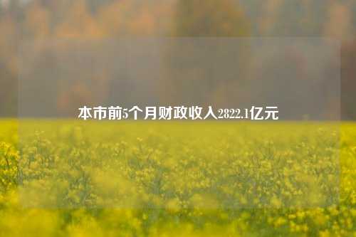 本市前5个月财政收入2822.1亿元 一般预算收入 预算执行 一般公共预算 行业新闻 第1张