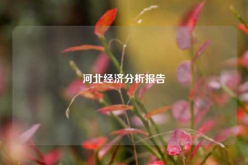 河北经济分析报告 企业经济 城投债 河北经济 行业新闻 第1张