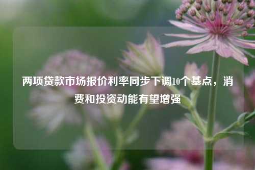 两项贷款市场报价利率同步下调10个基点，消费和投资动能有望增强 消费投资 利率 投资 行业新闻 第1张