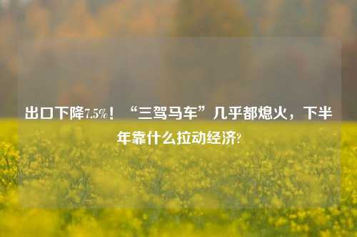 出口下降7.5%！“三驾马车”几乎都熄火，下半年靠什么拉动经济? 经济 行业新闻 第1张