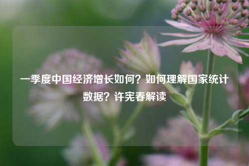一季度中国经济增长如何？如何理解国家统计数据？许宪春解读 许宪春 经济 经济增长 行业新闻 第1张