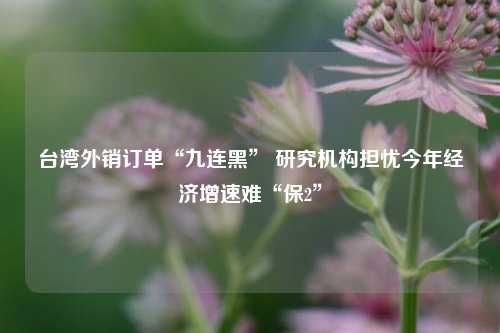 台湾外销订单“九连黑” 研究机构担忧今年经济增速难“保2” 经济 台湾经济 行业新闻 第1张