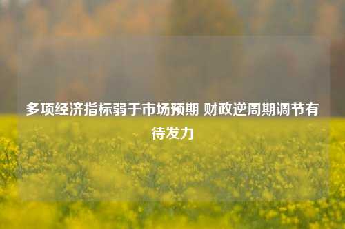 多项经济指标弱于市场预期 财政逆周期调节有待发力 宏观经济 经济 国内宏观 行业新闻 第1张