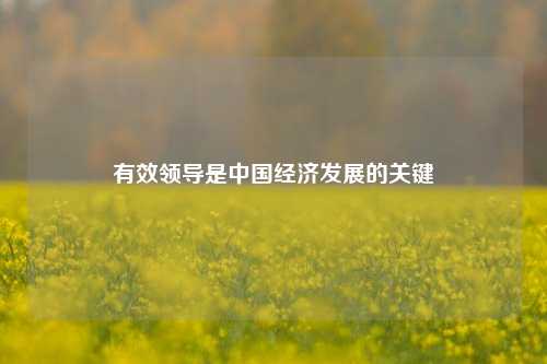 有效领导是中国经济发展的关键 环境经济 国内宏观 经济 行业新闻 第1张