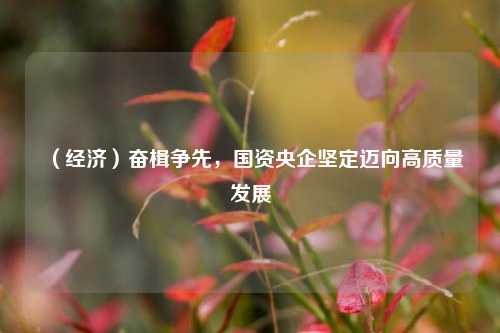 （经济）奋楫争先，国资央企坚定迈向高质量发展 国资 央企重组 央企改革 行业新闻 第1张