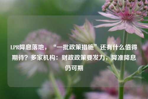 LPR降息落地，“一批政策措施”还有什么值得期待？多家机构：财政政策要发力，降准降息仍可期 宏观经济 央行降息 国内宏观 行业新闻 第1张