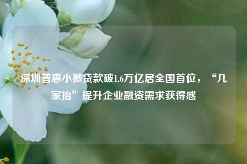 深圳普惠小微贷款破1.6万亿居全国首位，“几家抬”提升企业融资需求获得感 企业贷款 小微金融 企业融资 行业新闻 第1张
