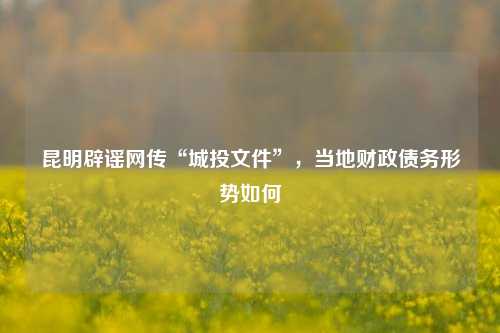 昆明辟谣网传“城投文件”，当地财政债务形势如何 预算 宏观经济 财政制度 行业新闻 第1张