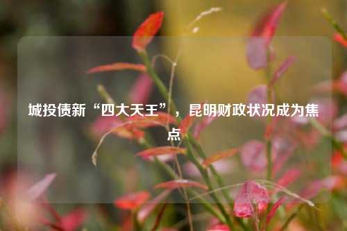 城投债新“四大天王”，昆明财政状况成为焦点 预算 城投债 行业新闻 第1张