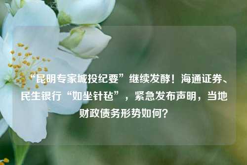 “昆明专家城投纪要”继续发酵！海通证券、民生银行“如坐针毡”，紧急发布声明，当地财政债务形势如何？ 债务 行业新闻 第1张