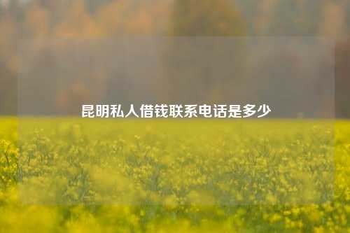 昆明私人借钱联系电话是多少 私借空放 第1张