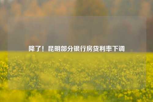 降了！昆明部分银行房贷利率下调 首套房 房贷利率 银行 行业新闻 第1张