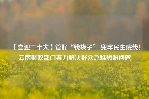【喜迎二十大】管好“钱袋子” 兜牢民生底线！云南财政部门着力解决群众急难愁盼问题 农村 三农 财政制度 行业新闻 第1张