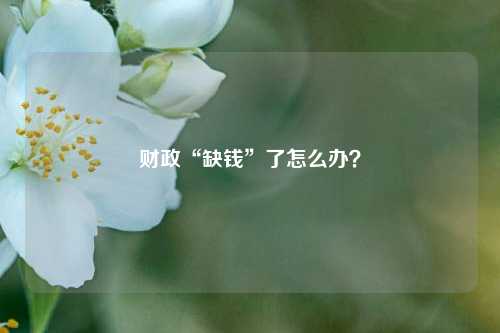 财政“缺钱”了怎么办？ 国内宏观 存量资产 投资 行业新闻 第1张