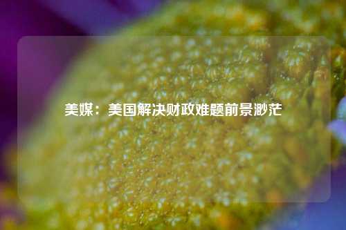 美媒：美国解决财政难题前景渺茫 债务 宏观经济 国外宏观 行业新闻 第1张