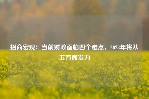 招商宏观：当前财政面临四个难点，2023年将从五方面发力 政府支出 国内宏观 杠杆率 行业新闻 第1张