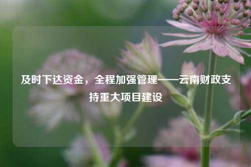 及时下达资金，全程加强管理——云南财政支持重大项目建设 预算 宏观经济 国内宏观 行业新闻 第1张