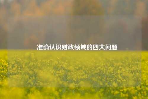 ​准确认识财政领域的四大问题 融资风险 政府债务 国债 行业新闻 第1张