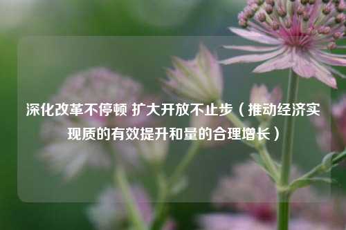 深化改革不停顿 扩大开放不止步（推动经济实现质的有效提升和量的合理增长） 投资 国内宏观 经济 行业新闻 第1张