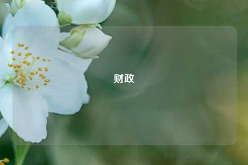 财政 土地增值税 国内宏观 土地财政 行业新闻 第1张