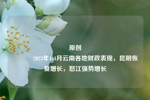 原创 2023年1 4月云南各地财政表现，昆明恢复增长，怒江强势增长 宏观经济 云南发展 行业新闻 第1张