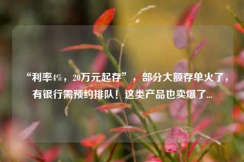 “利率4%，20万元起存”，部分大额存单火了，有银行需预约排队！这类产品也卖爆了... 存款利率 民营银行 银行 行业新闻 第1张