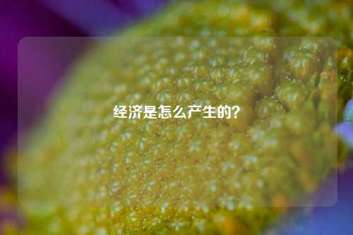 经济是怎么产生的？ 经济 行业新闻 第1张