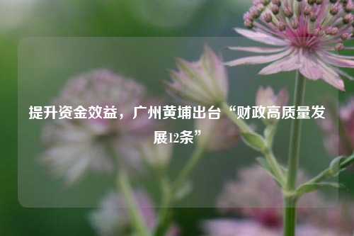 提升资金效益，广州黄埔出台“财政高质量发展12条” 广州发展 国内宏观 广州财政 行业新闻 第1张