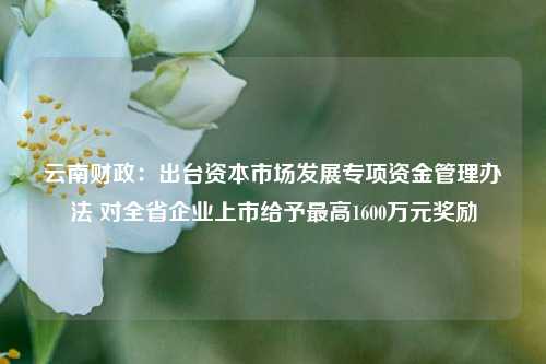 云南财政：出台资本市场发展专项资金管理办法 对全省企业上市给予最高1600万元奖励 投资 云南发展 资本市场 行业新闻 第1张