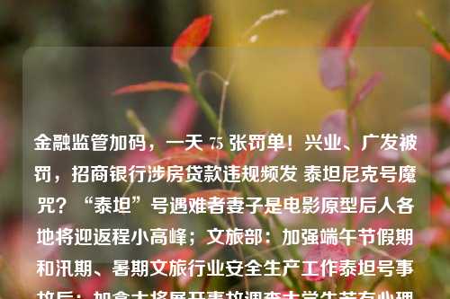 金融监管加码，一天 75 张罚单！兴业、广发被罚，招商银行涉房贷款违规频发 泰坦尼克号魔咒？“泰坦”号遇难者妻子是电影原型后人各地将迎返程小高峰；文旅部：加强端午节假期和汛期、暑期文旅行业安全生产工作泰坦号事故后：加拿大将展开事故调查大学生若有心理困惑，来大学城北咨询，热线也开通了飞向北极丨记者手记：灰色小镇里有个彩色涂鸦家这场重磅峰会，100多国代表参加拜登也知道了！美国“正在监控”先行者的传递：巴黎奥运会火炬传递路线公布明天，北京高考出分！分数线同时公布【多彩端午】非遗棕编迎端午，手工蝴蝶送 金融监管 金融 银行 行业新闻 第1张
