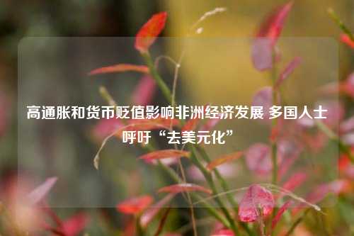 高通胀和货币贬值影响非洲经济发展 多国人士呼吁“去美元化” 宏观经济 非洲大陆 货币贬值 行业新闻 第1张