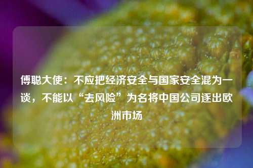 傅聪大使：不应把经济安全与国家安全混为一谈，不能以“去风险”为名将中国公司逐出欧洲市场 欧盟 经济 经济安全 行业新闻 第1张