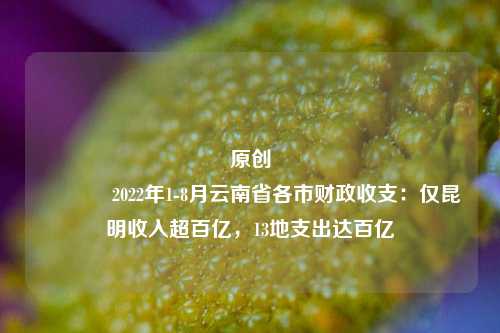 原创 2022年1 8月云南省各市财政收支：仅昆明收入超百亿，13地支出达百亿 宏观经济 国内宏观 行业新闻 第1张